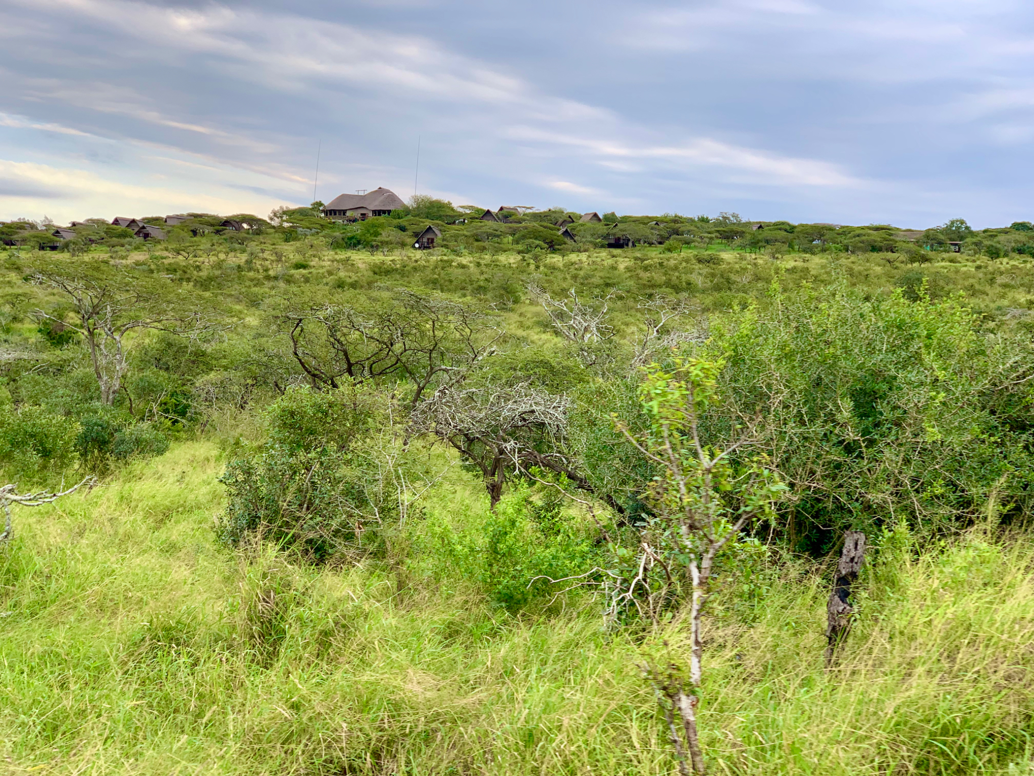 Thanda from afar